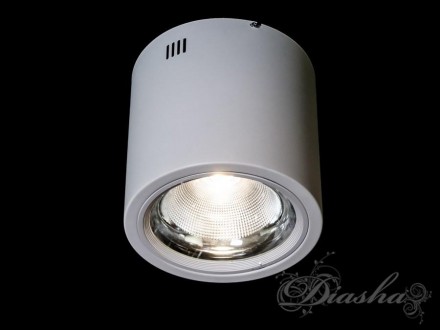 Накладной светодиодный точечный светильник 30W DB-SR225-COB-30W-W. Одесса. фото 1 Накладной светодиодный точечный светильник 30W DB-SR225-COB-30W-W. Одесса. фото 1