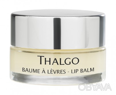 
Бальзам «Lip Balm» от французского бренда-производителя «THALGO» предназначен д. . фото 1