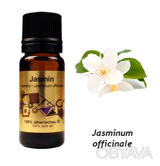 
Эфирное масло «Pure Essential Oil Jasmin» от австрийского бренда-производителя . . фото 1