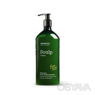 
Шампунь «Rosemary Scalp Scaling Shampoo» от южнокорейского бренда-производителя. . фото 1