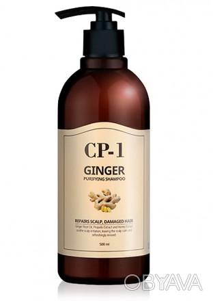 
Шампунь «Ginger Purifying Shampoo» от южнокорейского бренда-производителя «Esth. . фото 1