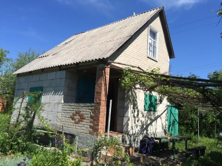 Продать дачу "Чистые пруды". Сумы. фото 1 Продать дачу "Чистые пруды". Сумы. фото 1