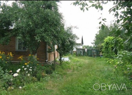 Продам дом(дачу) возле одесской трассы, 90 км. от г. Киева, 20 км. от г. Белая Ц. . фото 1