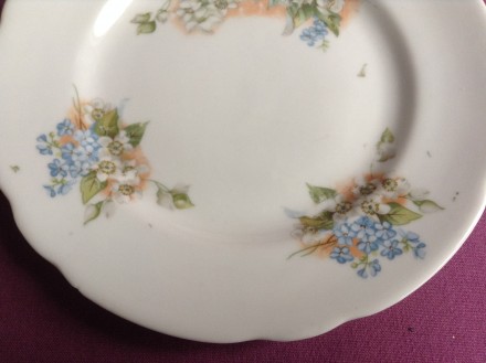 Тарелка столовая плоская Фиалки.
Фарфор, Коростень.
Диаметр 20.5 см. Высота 2 . . фото 4