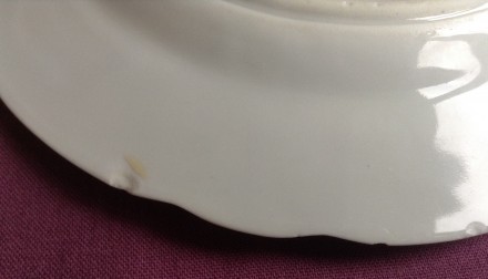 Тарелка столовая плоская Фиалки.
Фарфор, Коростень.
Диаметр 20.5 см. Высота 2 . . фото 6