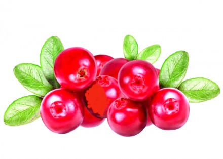 Предлагаем натуральные жевательные конфеты пастилу из ягодного пюре клюквы. 
Исп. . фото 2