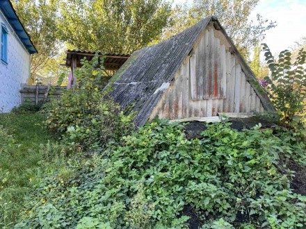 Продается дом в селе Пугачевка (23 км от Белой Церкви), Киевская обл., построен . . фото 7