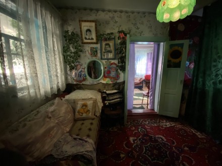 Продается дом в селе Пугачевка (23 км от Белой Церкви), Киевская обл., построен . . фото 5