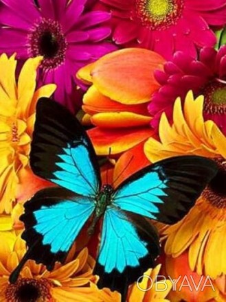 Алмазна вишивка, розмір 30х40 см, метелик у кольорах
Повна викладка, квадратні с. . фото 1