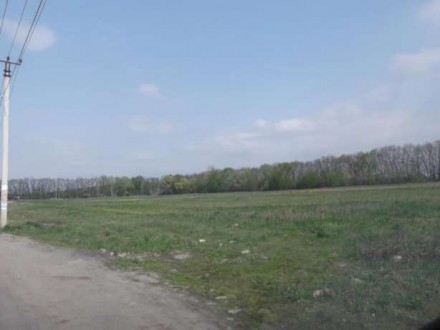 Продам зем. участок 18 км. от Киева,с. Лука, Киево- Святошинский р-он. Киев. фото 1 Продам зем. участок 18 км. от Киева,с. Лука, Киево- Святошинский р-он. Киев. фото 1