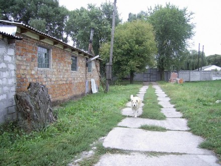 Участок 1,27га 23км от Киева (м.Лесная). Территория ограждённая, рядом все комму. Красиловка. фото 3