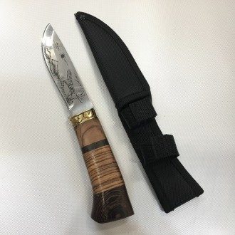 Охотничий нож с чехлом FB1022 / АК-5 (23см)
Хороший нож является неотъемлемой ча. . фото 2