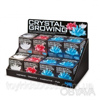 Стенд 4M вміщує 12 наборів серії Crystal Growing у квадратних коробках 9 див. Ро. . фото 1
