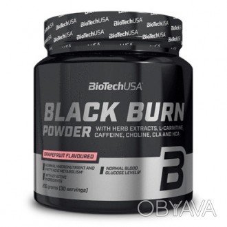 
BioTech Black Burn - это отличный вариант для тех, кто хочет скорректировать св. . фото 1