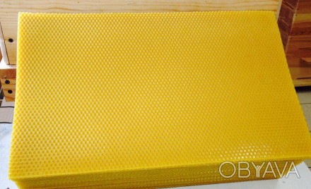 Вощина прополюсованая Боярка рамка Рута 190*410мм
 
Вощина – основа будущих пчел. . фото 1