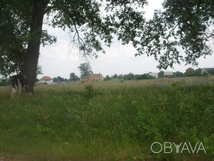 Продаю 30 соток земли под застройку в селе Селичевка за Борисполем. Лес,река,по . . фото 1