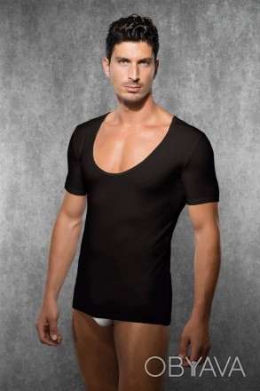 Мужская футболка Doreanse Modal Srort 2520 черная
Классическая мужская футболка . . фото 1