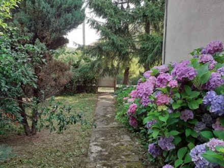 Продам житловий будинок в тихому, мирному і спокійному районі (Чопівка) в місті . . фото 8