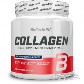  BioTech Collagen – пищевая добавка в виде растворимого порошка с коллагеном, ги. . фото 1