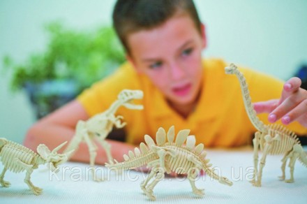 Раскопки динозавров DINO PALEONTOLOGY Тиранозавр, Протоцератопс (DP-01-03)
Почув. . фото 8