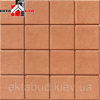 Тротуарная плитка БРУСЧАТКА 200х200 80мм Янтарь. Київ. фото 1 Тротуарная плитка БРУСЧАТКА 200х200 80мм Янтарь. Київ. фото 1