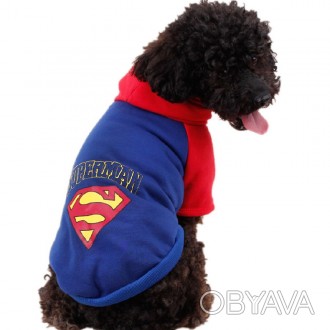 Толстовка для собак Alfa «Супермен». Стильная толстовка с эмблемой Супермена соз. . фото 1