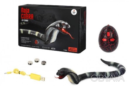 Робот Same toy Справжня кобра на радіокеруванні сірого кольору стане знахідкою д. . фото 1