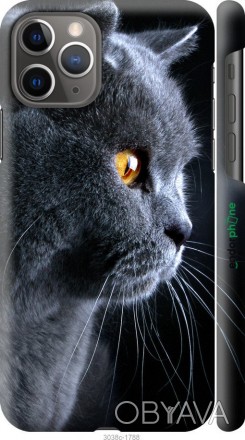 Чехол "Красивый кот" для Apple iPhone 11 ProПредставляем Вашему вниманию дизайне. . фото 1