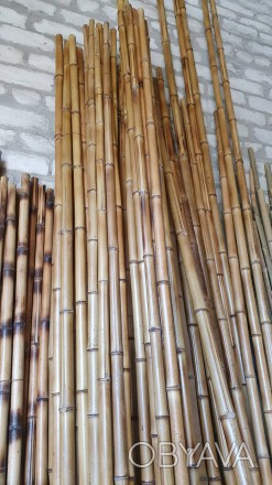 Бамбуковые стволы высочайшего качества