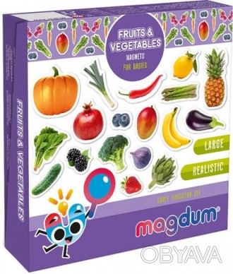 Магнитные фигурки помогут ребенку познакомиться с фруктами и овощами, научиться . . фото 1
