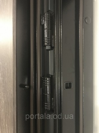 Входная бронированная дверь "Портала" серии "ТРИО RAL" модель S-3 (с декоративно. . фото 7