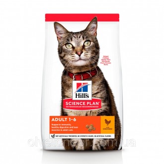 Корм Хілс для котів з куркою hill's SCIENCE PLAN Adult 15. Дніпро. фото 1 Корм Хілс для котів з куркою hill's SCIENCE PLAN Adult 15. Дніпро. фото 1