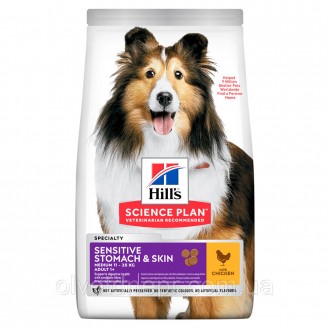 Корм Хілс для середніх собак з Куркою hill's SCIENCE PLAN Adult Sensitive Stomach & Skin Medium 2.5 кг. Дніпро. фото 1 Корм Хілс для середніх собак з Куркою hill's SCIENCE PLAN Adult Sensitive Stomach & Skin Medium 2.5 кг. Дніпро. фото 1