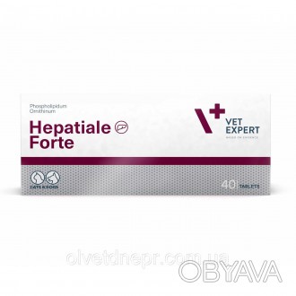 Гепатиале Форте
VetExpert Hepatiale Forte 300 mg (Гепатиале Форте) для собак і к. . фото 1