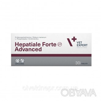 VetExpert Hepatiale Forte Advanced - усовершенствованный препарат для собак и ко. . фото 1