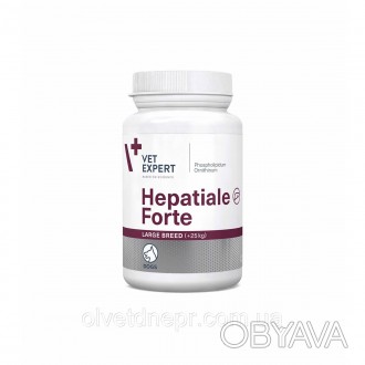 Гепатиале Форте VetExpert Hepatiale Forte Large Breed 550 mg (Гепатиале Форте Ла. . фото 1