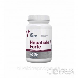 VetExpert Hepatiale Forte Small breed & cats 170 mg
Hepatiale Forte 170 мг призн. . фото 1