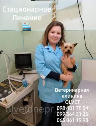 Стаціонарне лікування тварин Собаки. Дніпро. фото 1 Стаціонарне лікування тварин Собаки. Дніпро. фото 1