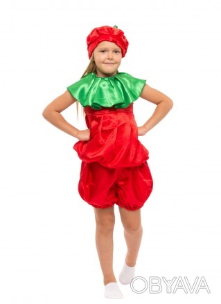 
Детский карнавальный костюм Помидора.
В комплект костюм входит: кофта, шорты и . . фото 1