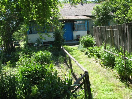 Продается дом в живописном, экологически чистом районе (село Оболонье Коропского. . фото 2
