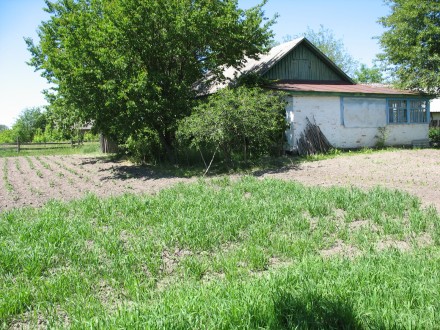Продается дом в живописном, экологически чистом районе (село Оболонье Коропского. . фото 7