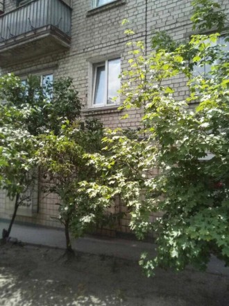 Продам 1 комнатную квартиру ул. Бойчука (бывшая Киквидзе) 22. Дом кирпичный, окн. . фото 4