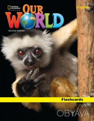 Our World 2nd Edition Starter Flashcards
Флэшкарты
 Достигайте большего с Our Wo. . фото 1