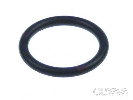 Кольцо уплотнительное держателя форсунки ASTORIA CMA/WEGA/MCE ring thickness 2.6. . фото 1
