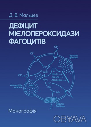 В монографії навелено основи сучасного вчення про дефіцит мієлопероксидази фагоц. . фото 1