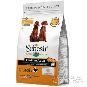 Schesir Dog Medium Adult Chicken – полноценный сбалансированный рацион для собак. . фото 1