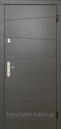 Двери Форт Мида. Киев. фото 1