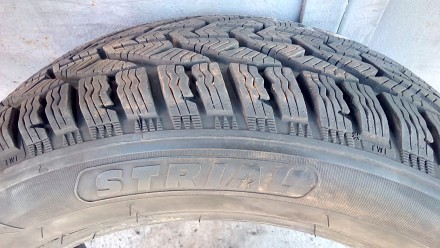 Зимние шины 205/55 R16 Strial winter, поштучно, под камеру.. Київ. фото 1 Зимние шины 205/55 R16 Strial winter, поштучно, под камеру.. Київ. фото 1