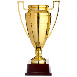 Кубок спортивный предназначен для награждения победителей во время соревнований . . фото 2