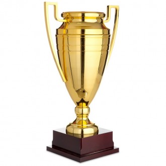 Кубок спортивный предназначен для награждения победителей во время соревнований . . фото 4